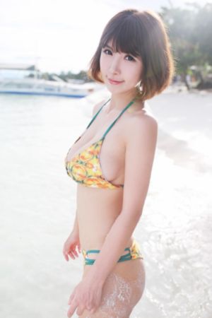 2024新杨门女将电视剧